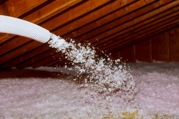 Best Residential Insulation in Bad Axe, MI