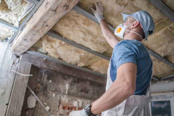 Best DIY Insulation Kits and Guidance in Bad Axe, MI