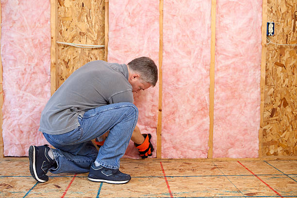 Best Specialized Insulation Services in Bad Axe, MI