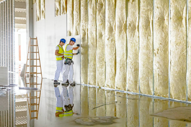 Best Cellulose Insulation in Bad Axe, MI